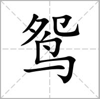 鸳